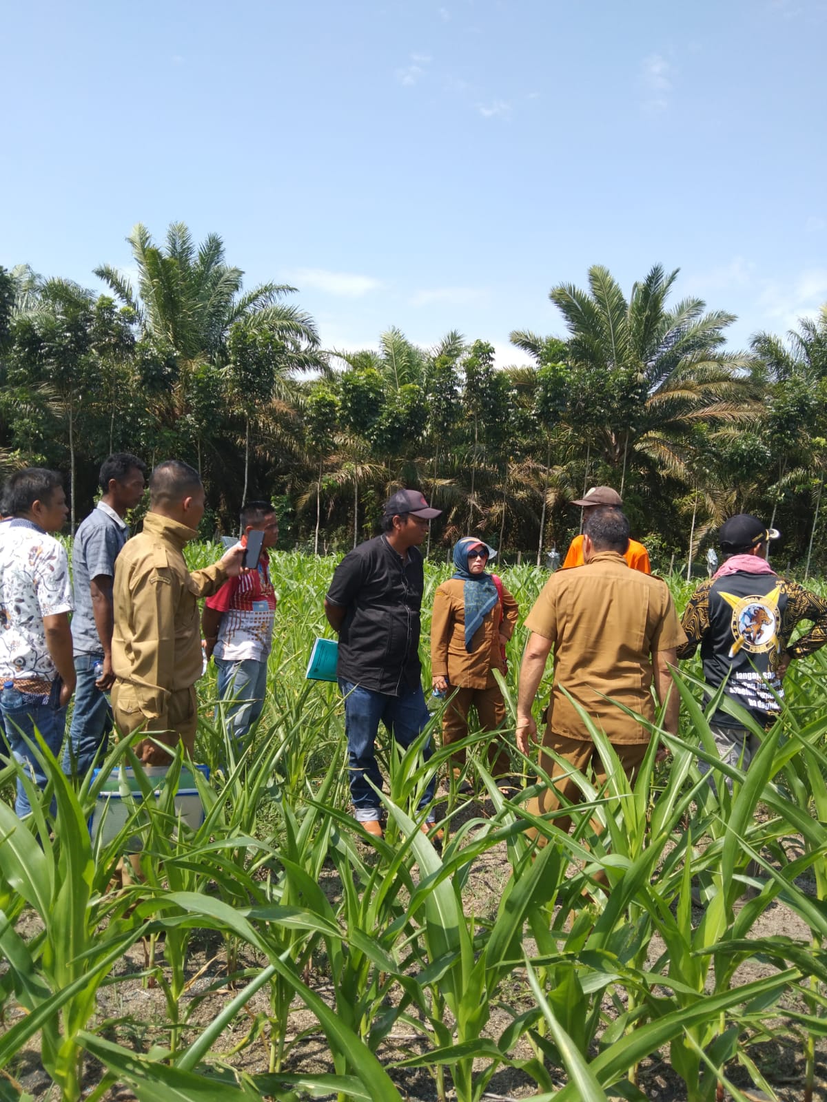 PEMANCANGAN LOKASI PEKERJAAN PEMBANGUNAN LPM DI KECAMATAN PANCUNG SOAL.