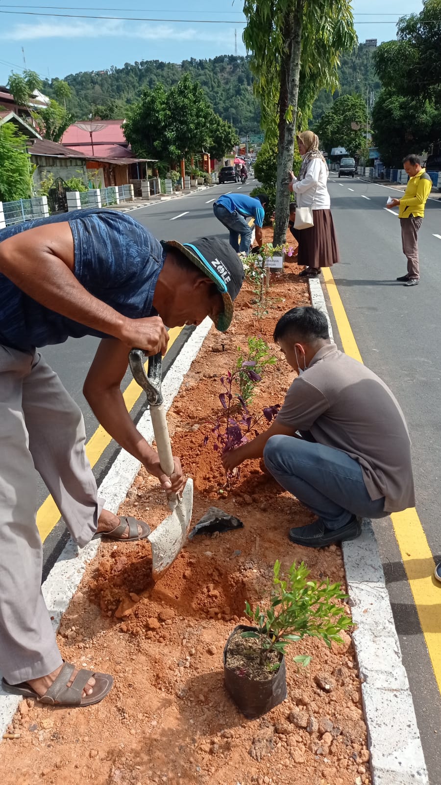 Melakukan Penanaman Pohon di Taman Kota Kecamatan IV Jurai