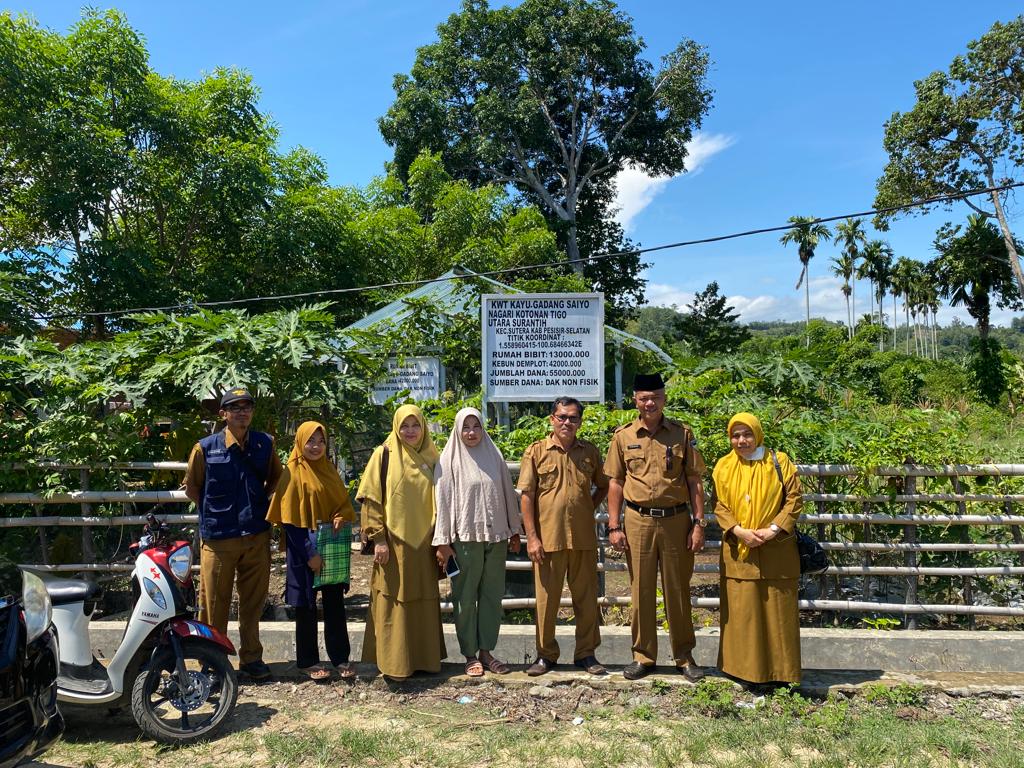 EVALUASI PELAKSANAAN PEKARANGAN PANGAN LESTARI DI KEC. SUTERA