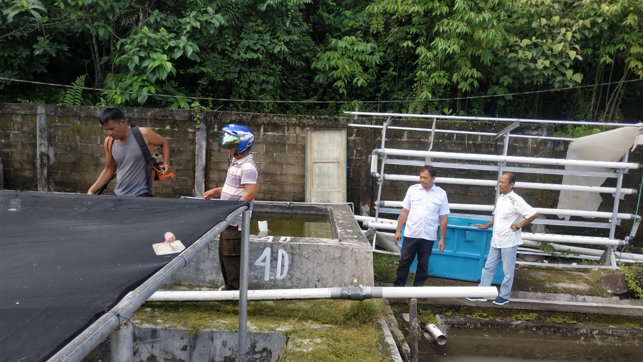KEGIATAN GORO PEMBERSIHAN BBI PINCURAN BOGA  PAINAN